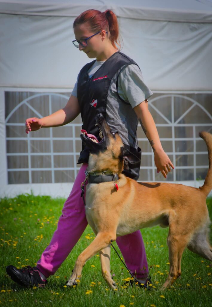 5d1c8fc7 fe86 404c 812f adb8d3f9f72b