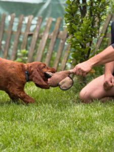 8b9dac09 0892 4460 9181 9d95ff5fb7e8 (1)