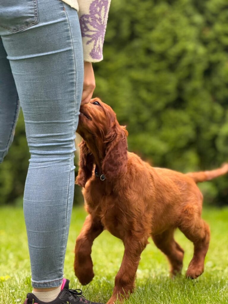 a9c7c30a 7e1c 450b abde d7158912d5b2