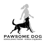 logo pełny wymiar removebg preview