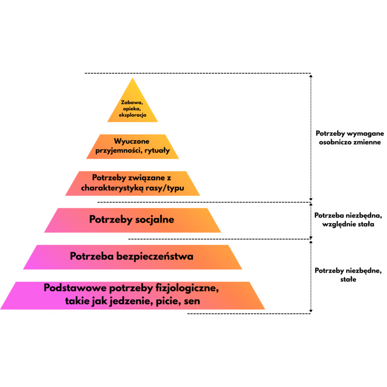podstawowe potrzeby fizjologiczne, taki jak jedzenie, picie, sen